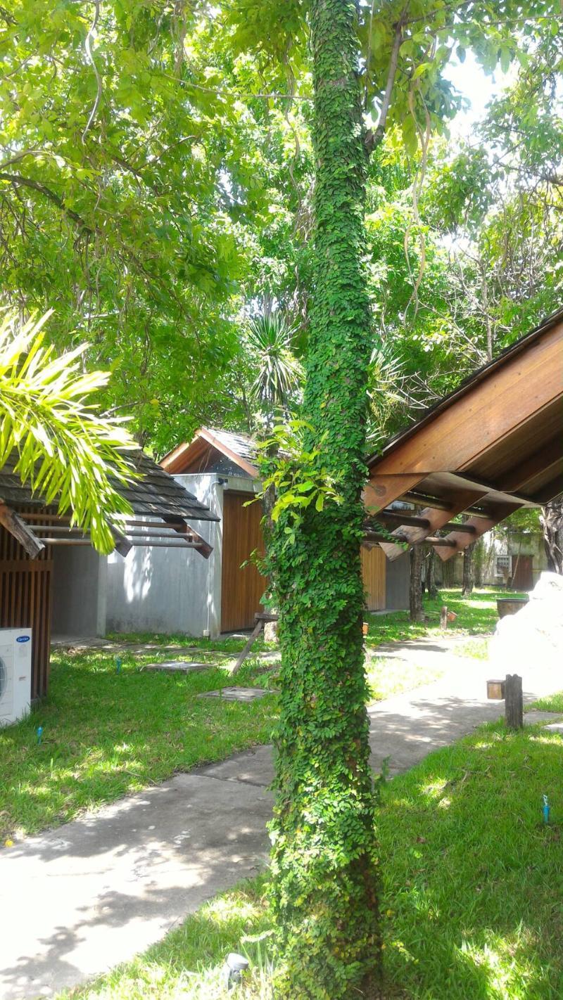 Into The Forest Resort Bangkok Exterior foto